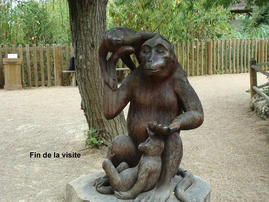 149 BIO PARC DE DOUE LA FONTAINE 7- 2016_000057.jpg